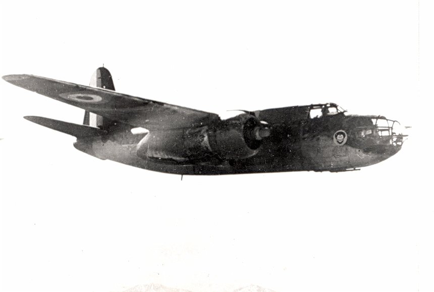 019e