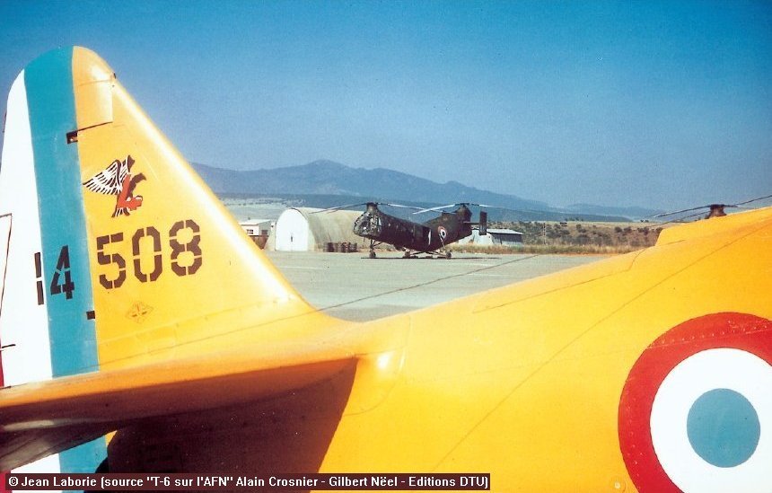 eala07217