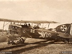 107d