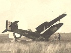 131d