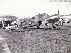 259
