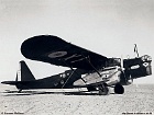 div_indo1