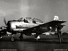 eala00903a