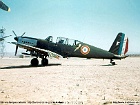eala07102