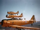 eala07202