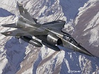 eala07209