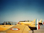 eala07213