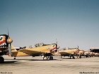 eala07213a