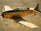 eala07213c