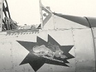 eala07214