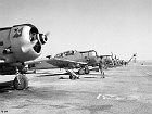 eala07216