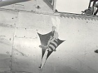 eala07220
