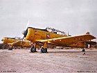 eala07304