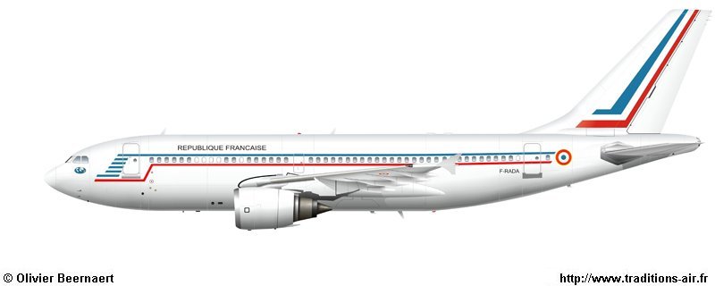 Airbus310