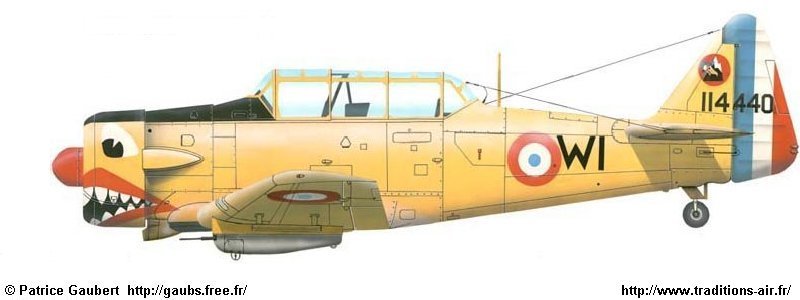 T6G