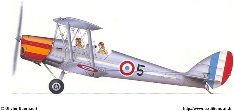 Tigermoth