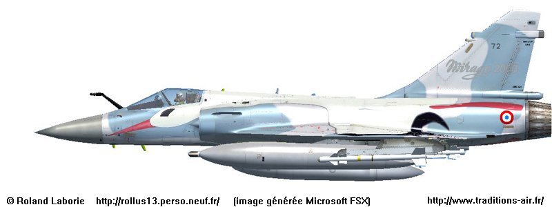 mirage2000-5_2004_cigognes_72_20ans_pg