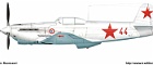 Yak1